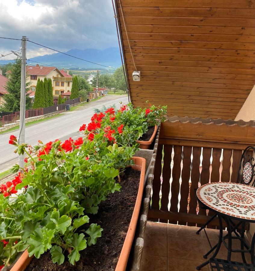 Penzion Vila Petra Bed&Breakfast Вельки-Славков Экстерьер фото