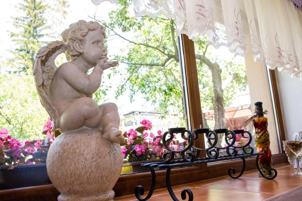 Penzion Vila Petra Bed&Breakfast Вельки-Славков Экстерьер фото